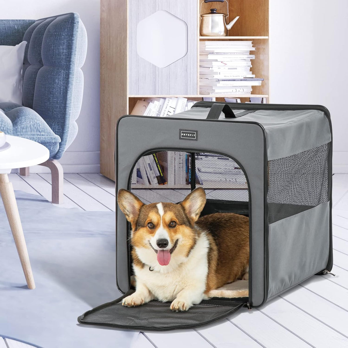 Collapsible Large Dog Travel Crate L2118