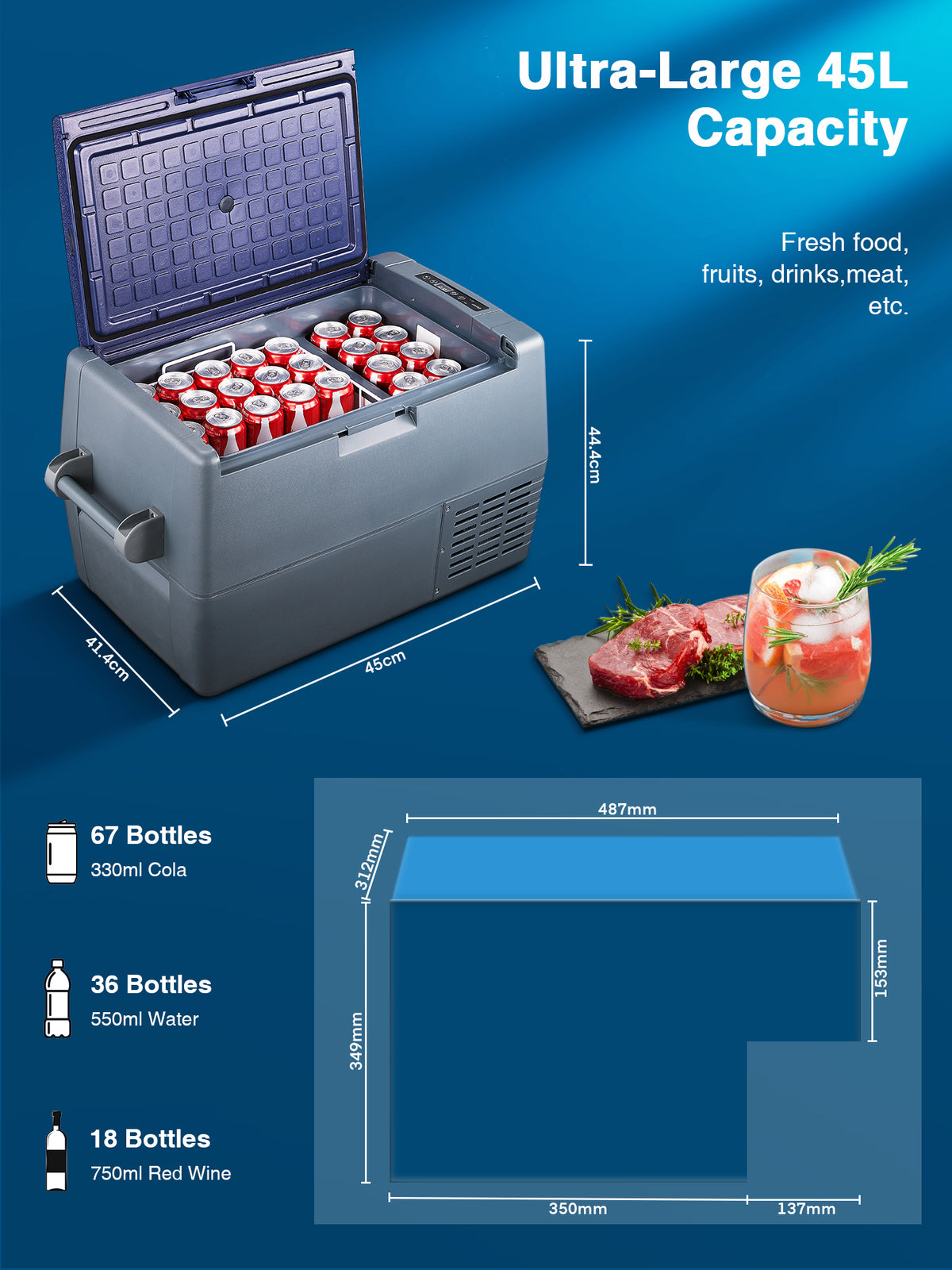 12/24V DC and 110-240V AC Car Refrigerator X8180