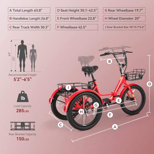 20" x2.6 Fat Tire Electric Tricycle R246