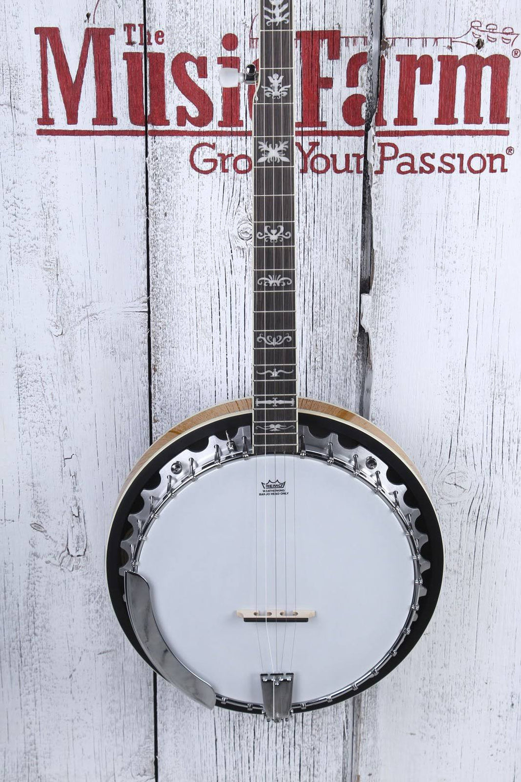 5-String Banjo P55689