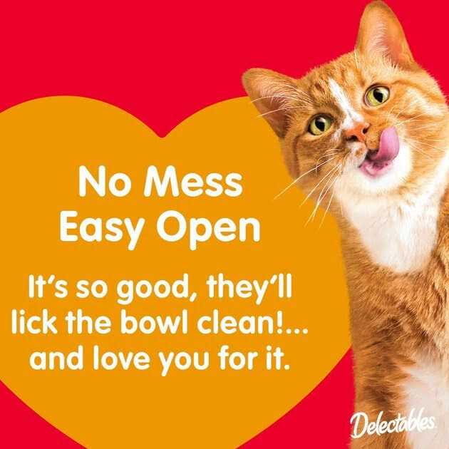 Chicken Savory Broths Lickable Cat Treat W16639