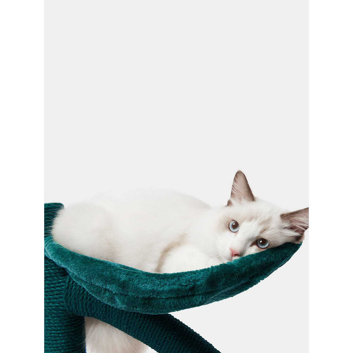Cherry Cat Tree N505