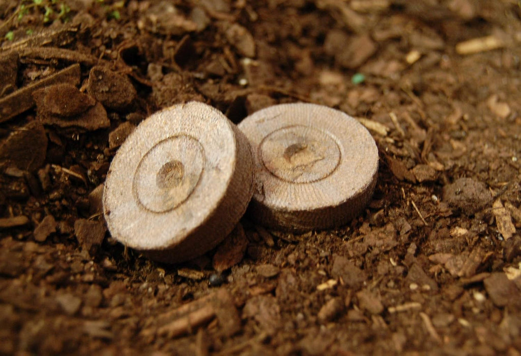 100 ea Peat Pellet P29576