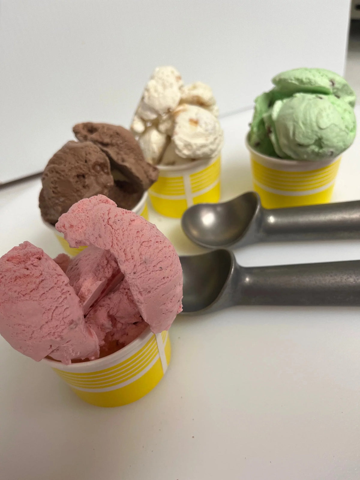 5 Pack Freeze Dried Ice Cream D2490