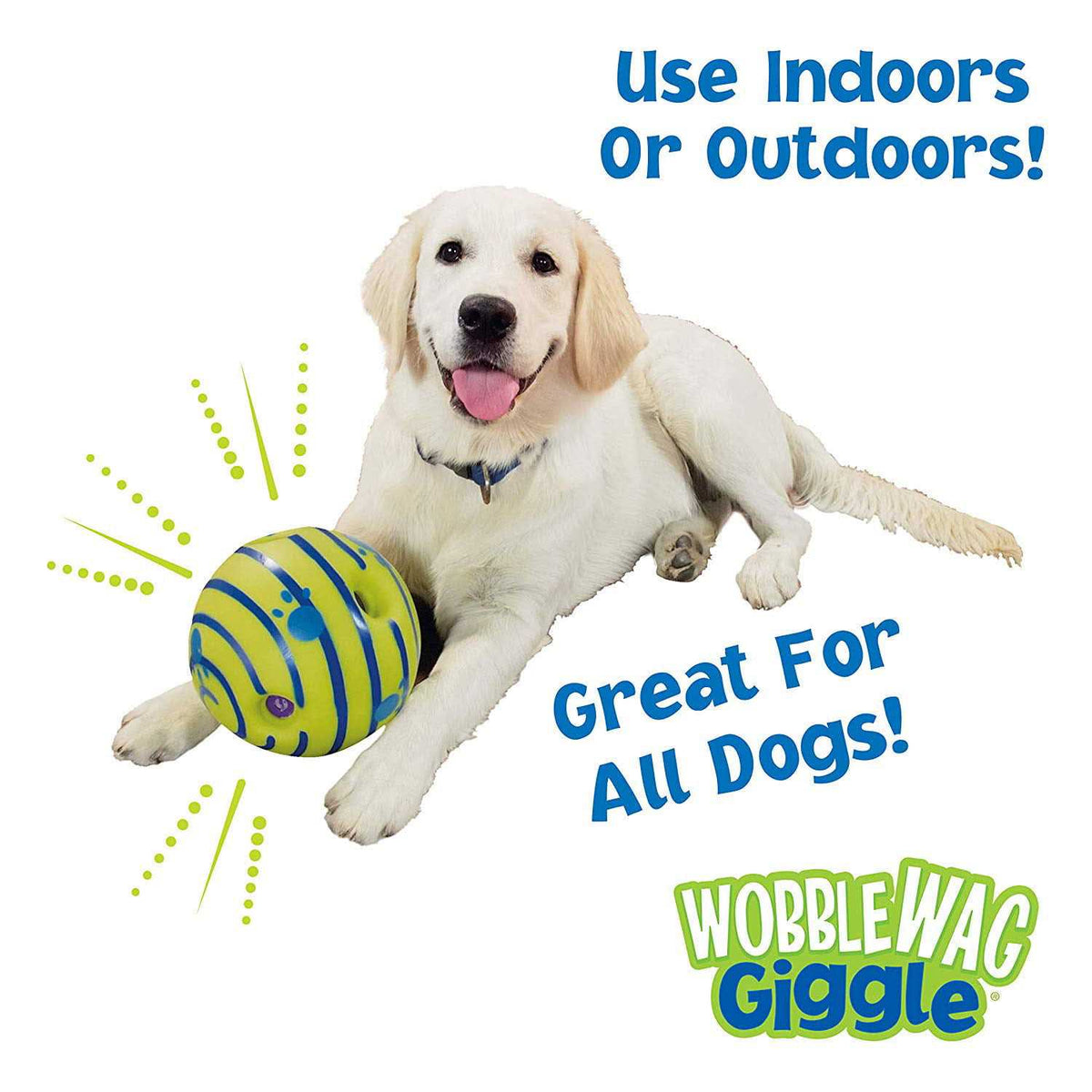 Dog Toy W966905