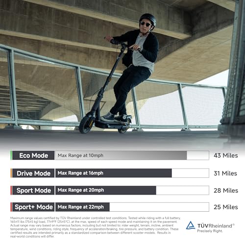 Electric Kick Scooter with Powerful Motor Y791