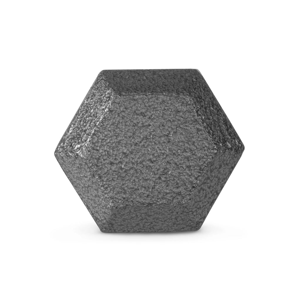 25lb Cast Iron Hex Dumbbell Z39475