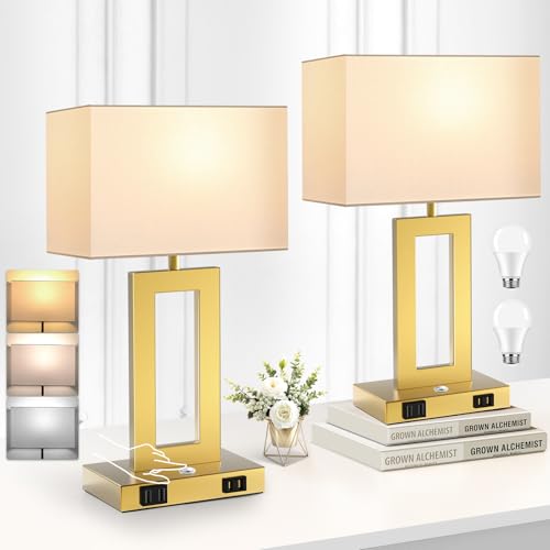 3 Color Temperatures Touch Control Table Lamps Set of 2 with USB Ports F830365