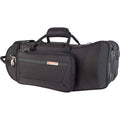 Travel Light Trumpet Case R17075