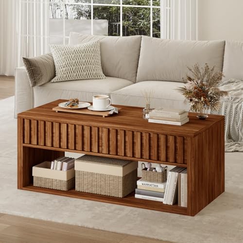 Lift Top Coffee Table with Storage Shelf U749