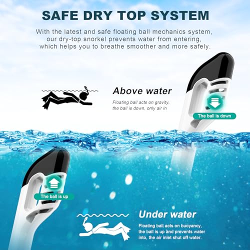 Full Face Snorkel Mask with Dry Top Breathing System and Detachable Camera Mount U9376