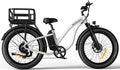 Fat Tire Electric Bike 48V 20AH 26 x 4.0" G832219