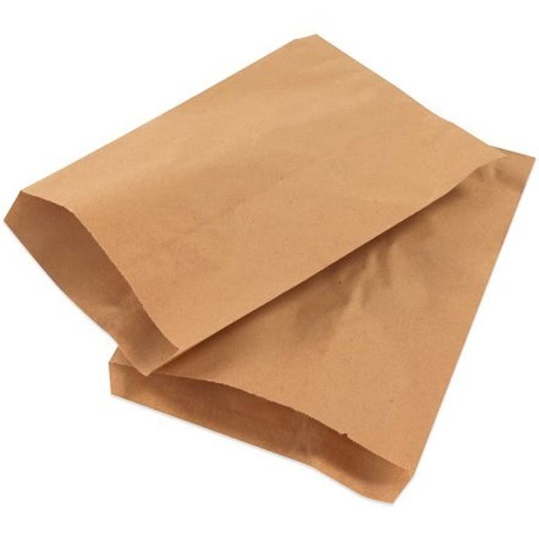 Kraft Flat Merchandise Bags V9819