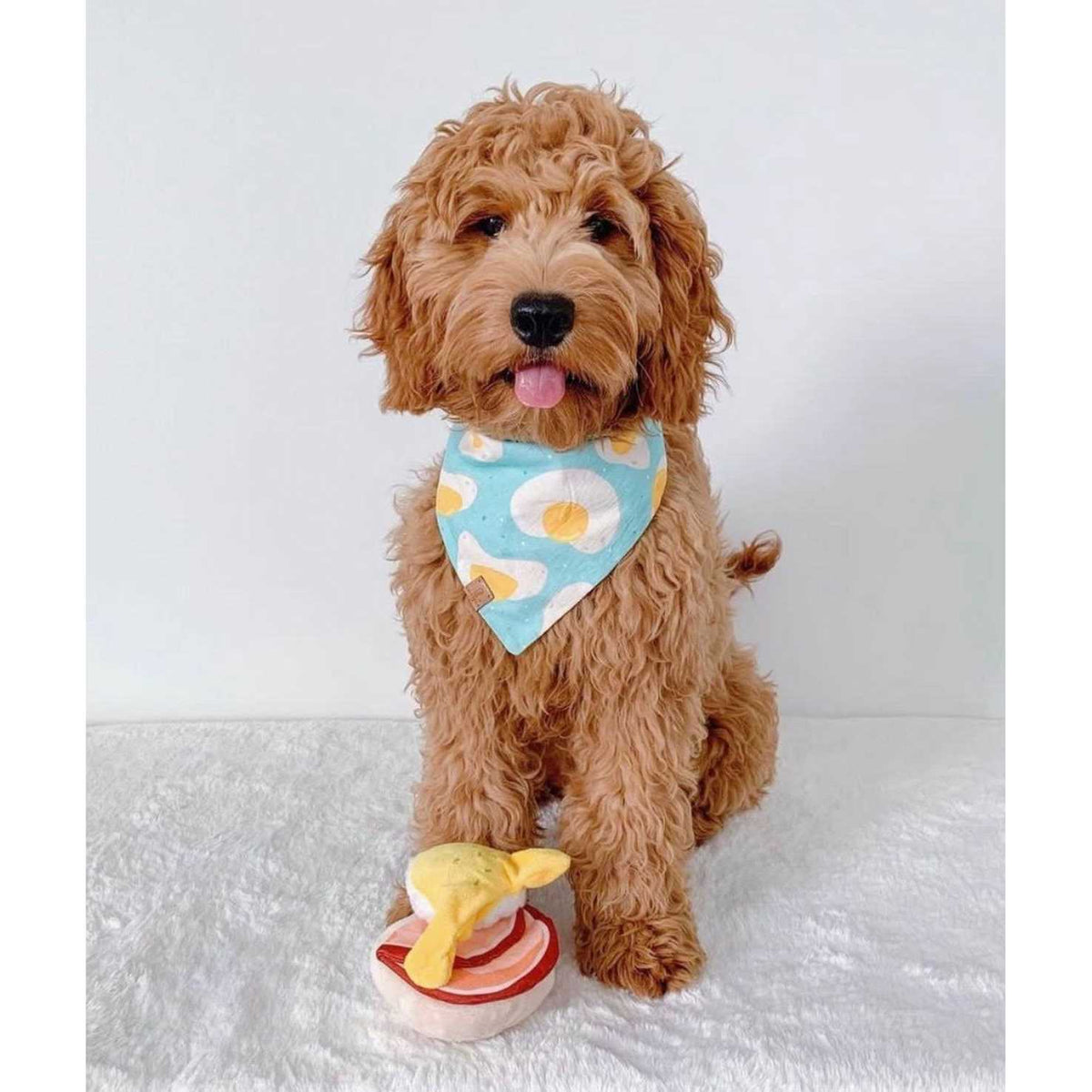 Dog Toy S917420