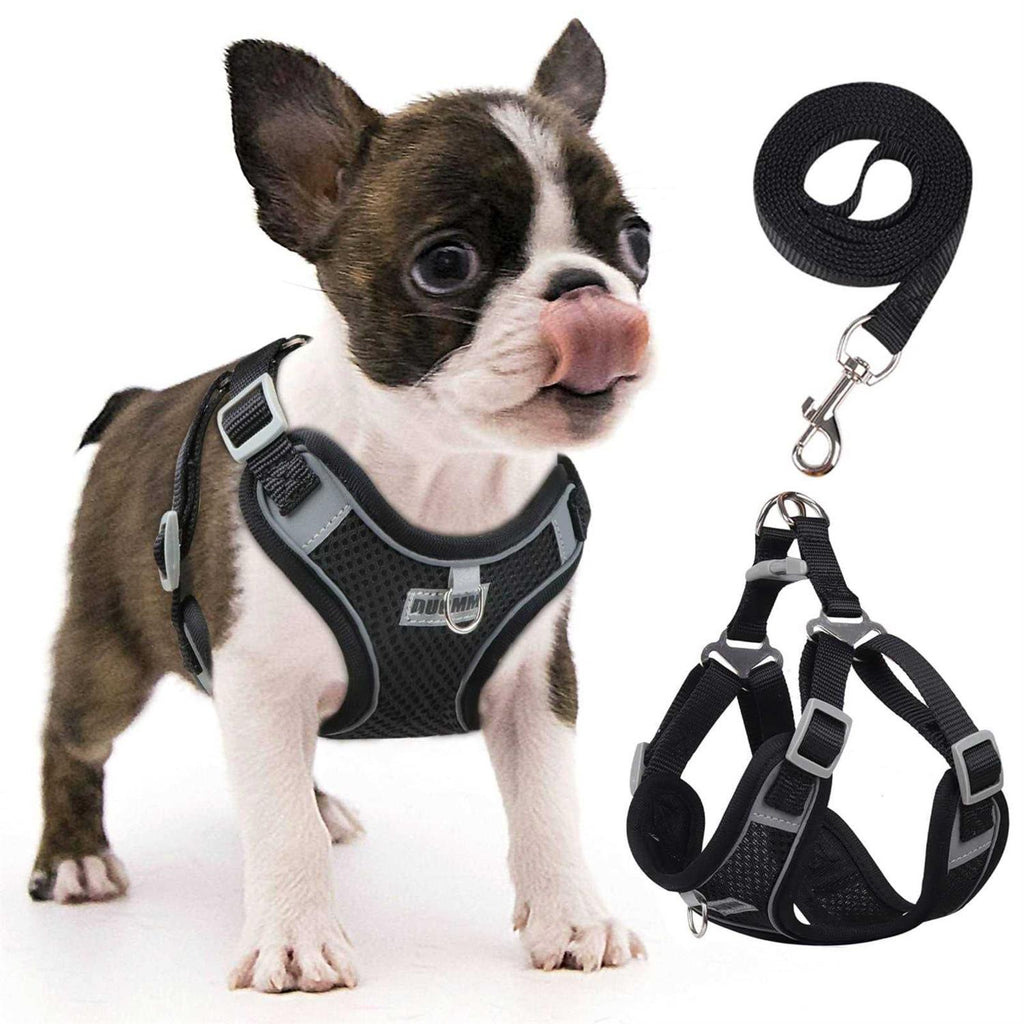 Adjustable Padded Reflective Dog Harness with 2 Leash Clips H795000