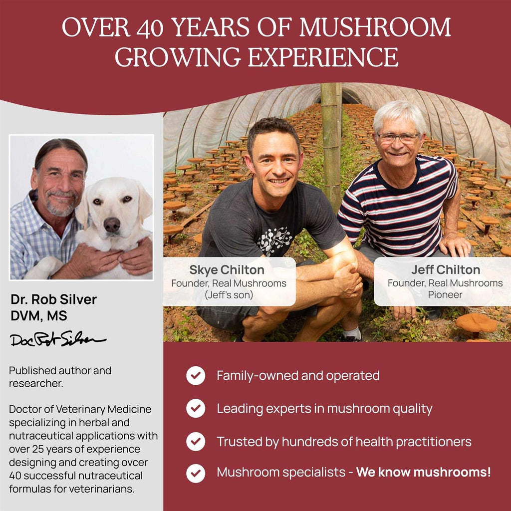 Mushroom Relax Pet Chew I9808