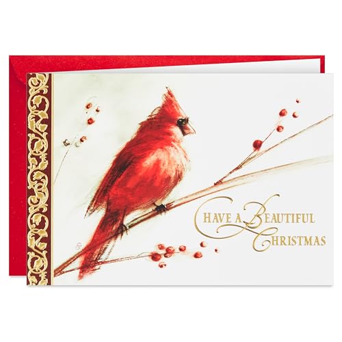 40 Cards and 40 Envelopes Boxed Christmas Cards A390259