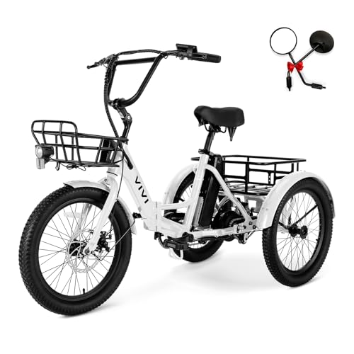 20" x2.6 Fat Tire Electric Tricycle R246