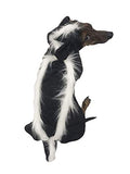 Dog Halloween Costume (Medium) U614670