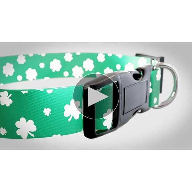 St Patricks Day Dog Collars V5031