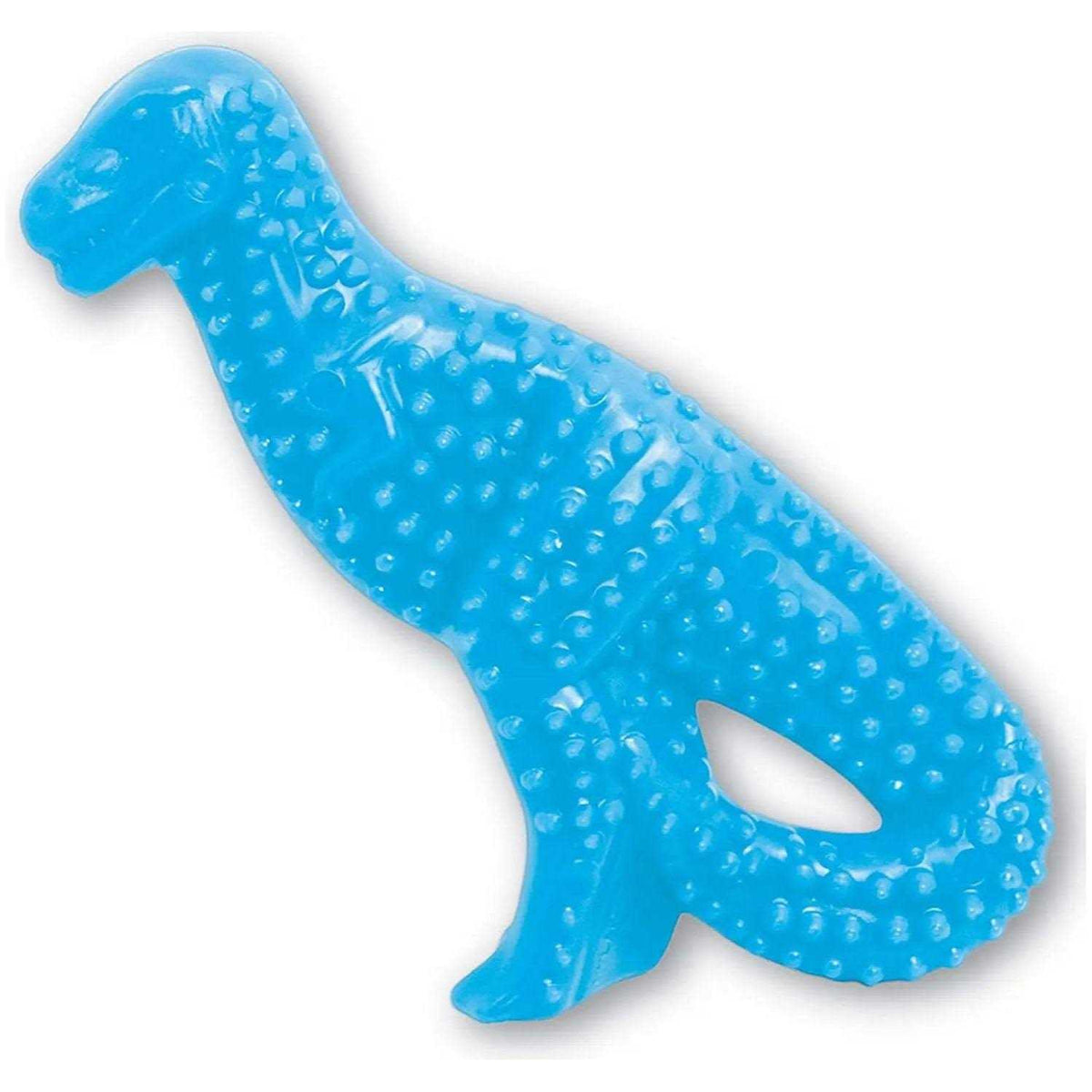 Dental Puppy Chew Toy E5658