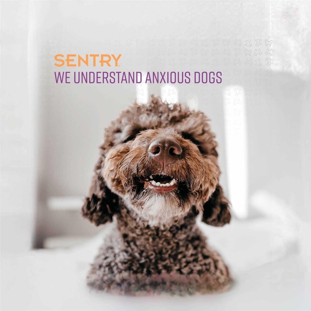 Behavior Correction Spray for Dogs D44640
