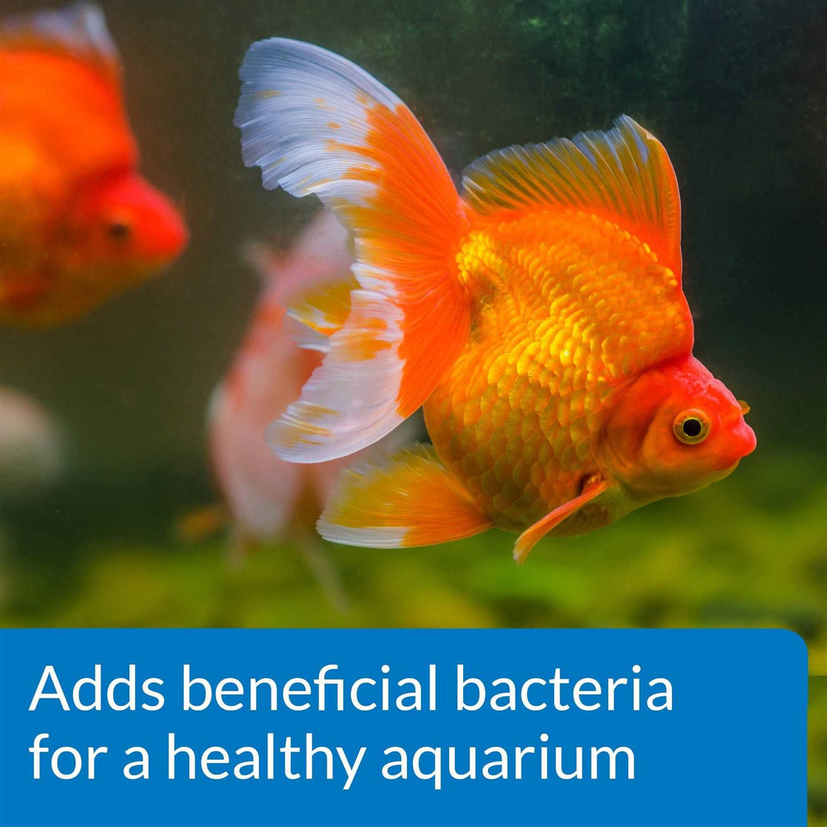 Aquarium Water Conditioner Q6290