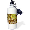 Sports Water Bottle C712845