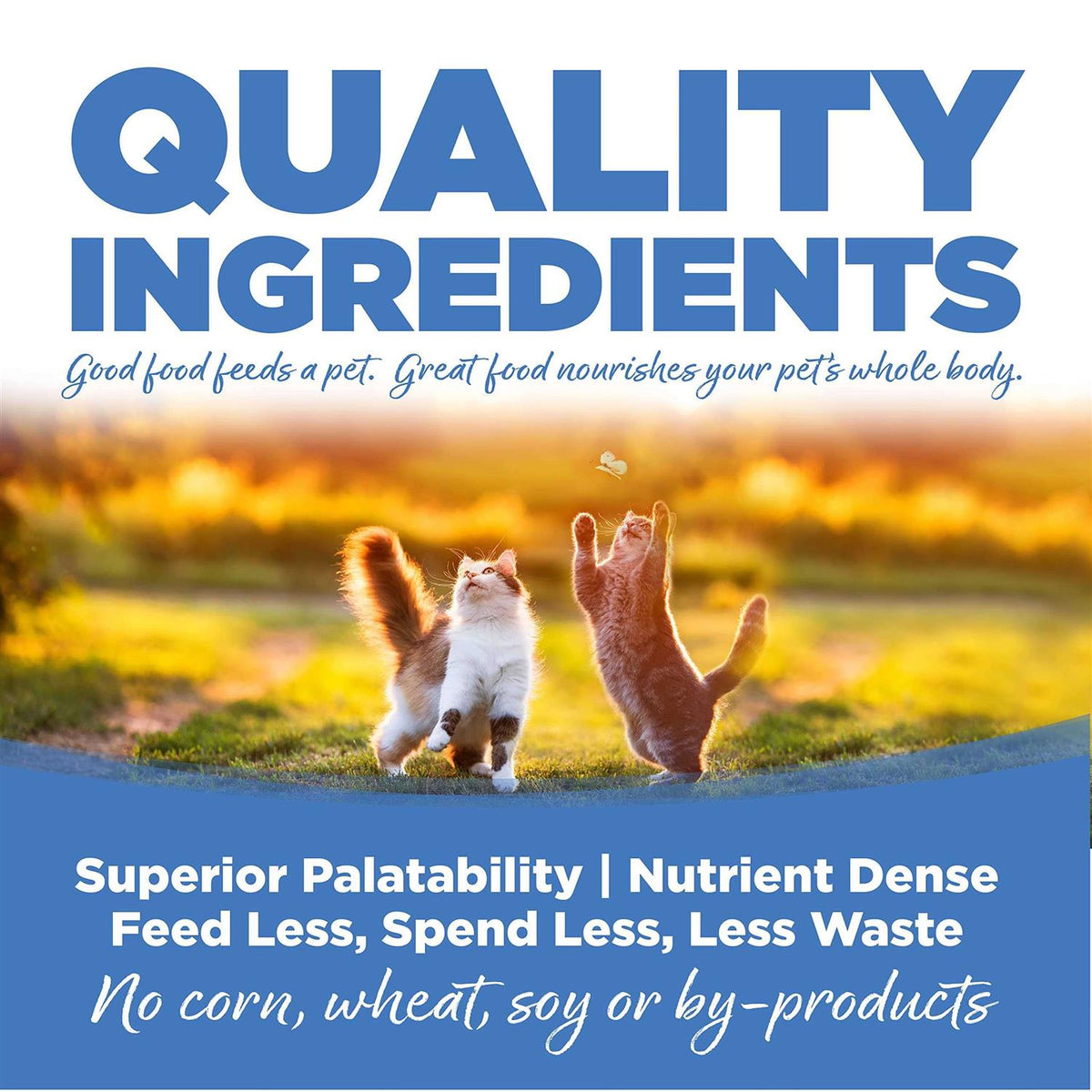 Chicken Salmon Liver Dry Cat & Kitten Food Q17857
