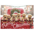 Christmas Cards R769433