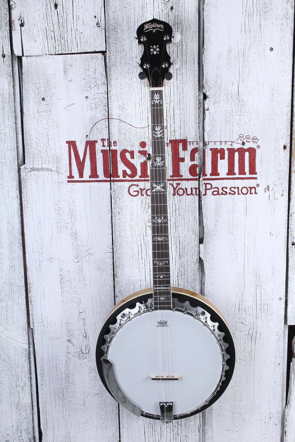 5-String Banjo P55689