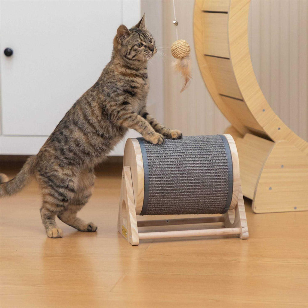 Cat Scratching Post Exercise Wheel H841740