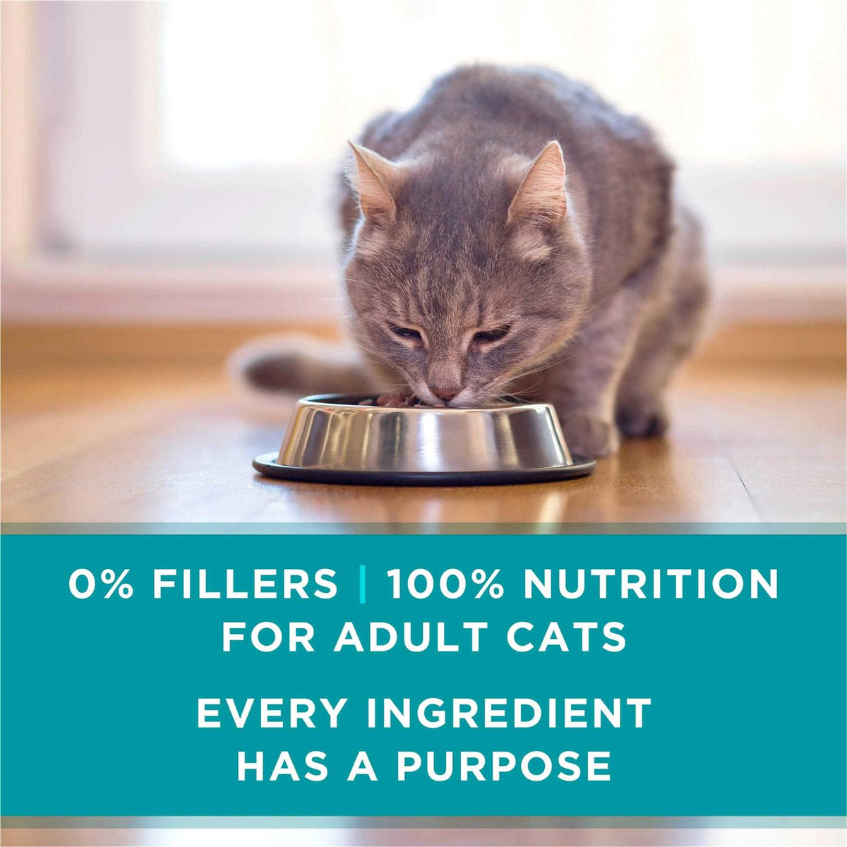 Wet Cat Food O98191