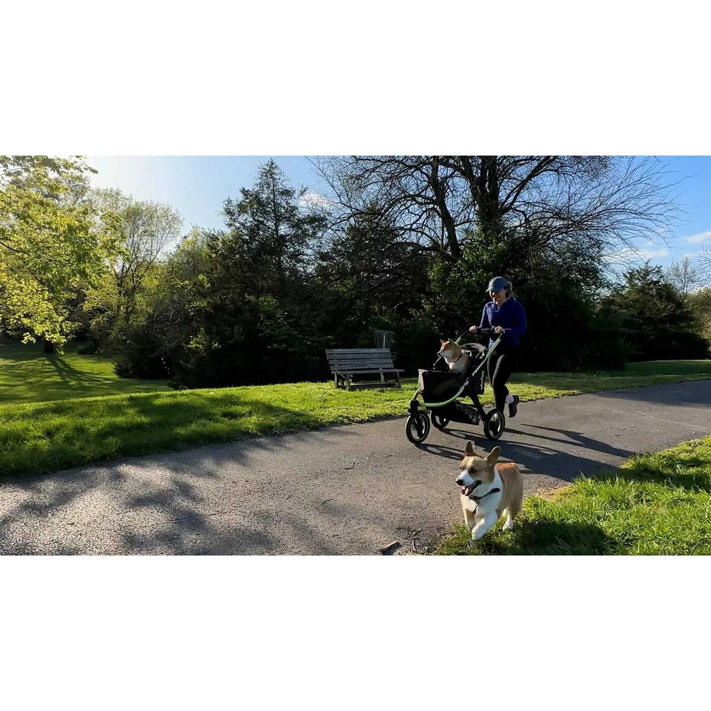 All Terrain Pet Jogging Stroller N568912