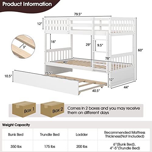 White Twin Over Twin Bunk Bed with Trundle P7567