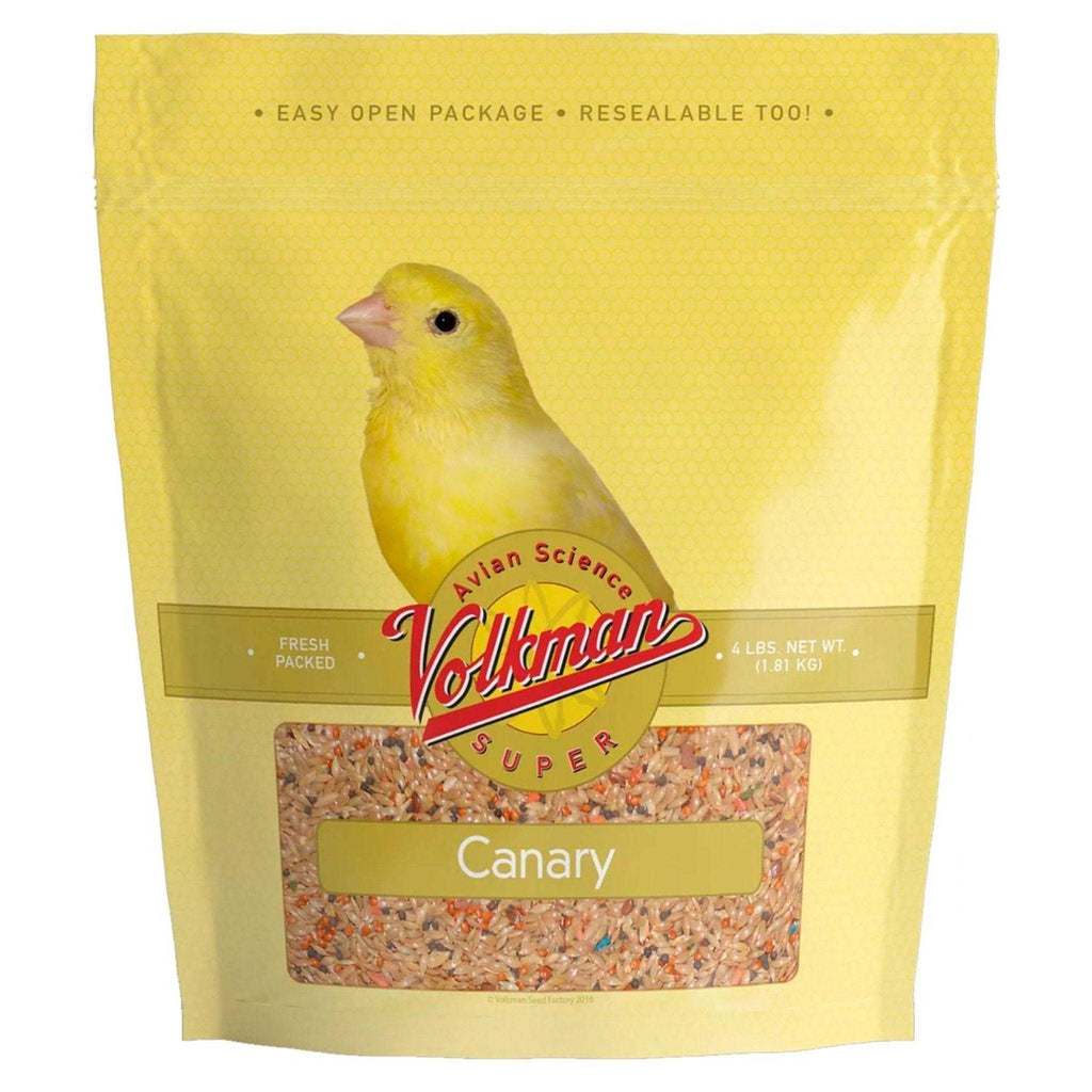 Canary Seed D295381