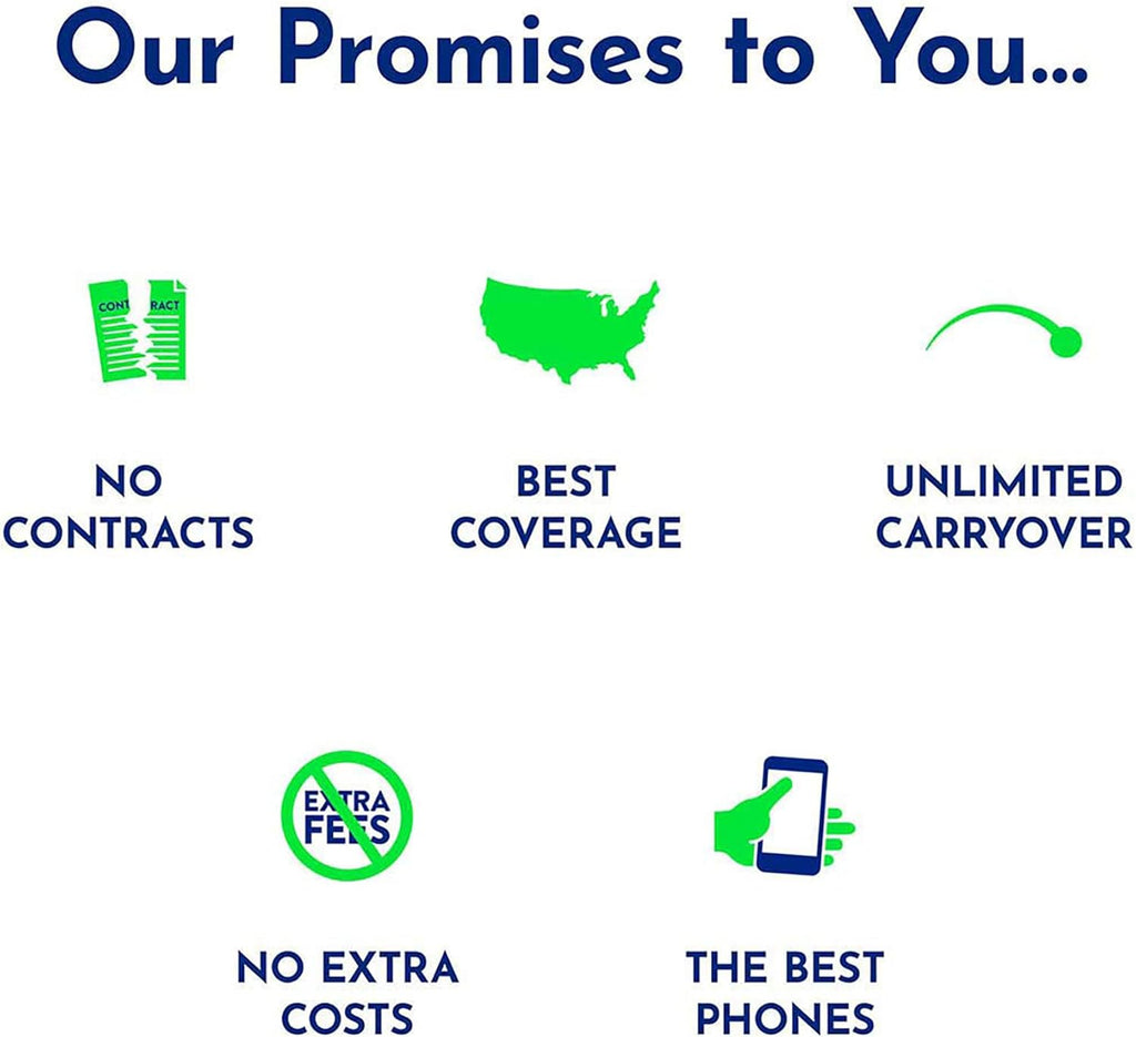 $60 1200 Min 1200 Text 3 GB Data 365–Day Plan E4439