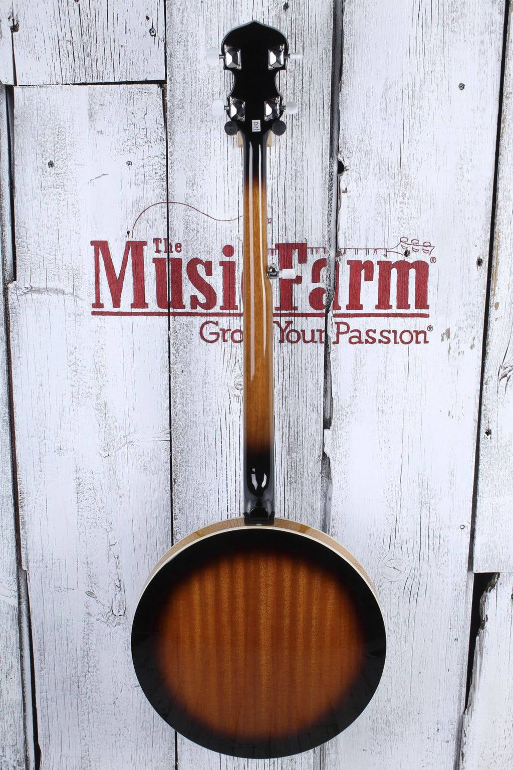 5-String Banjo P55689