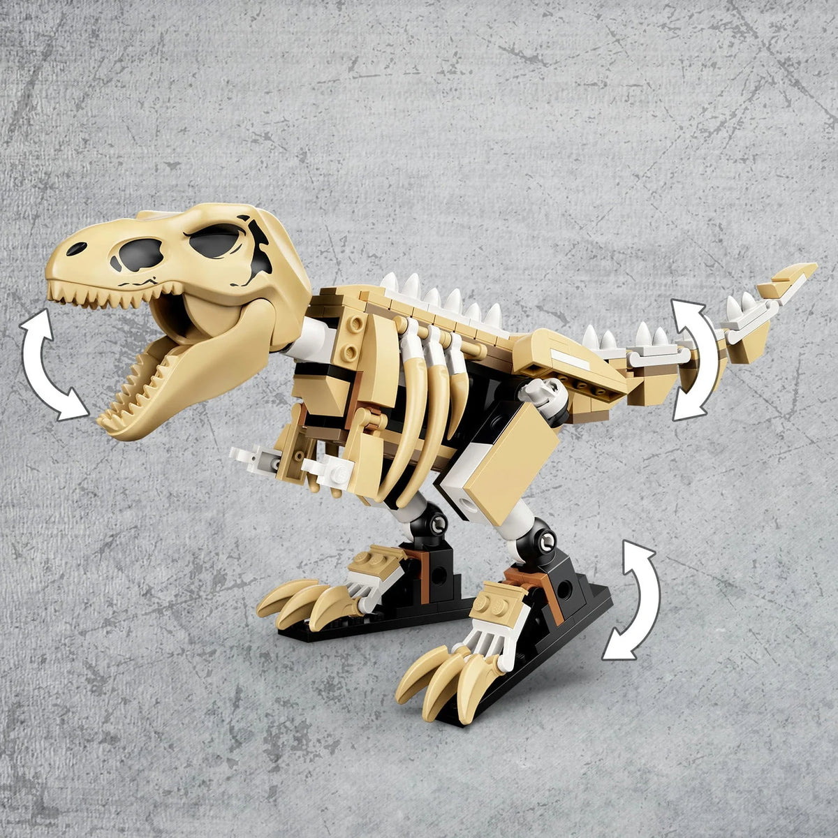 Jurassic World T. rex Dinosaur Fossil Exhibition X940679
