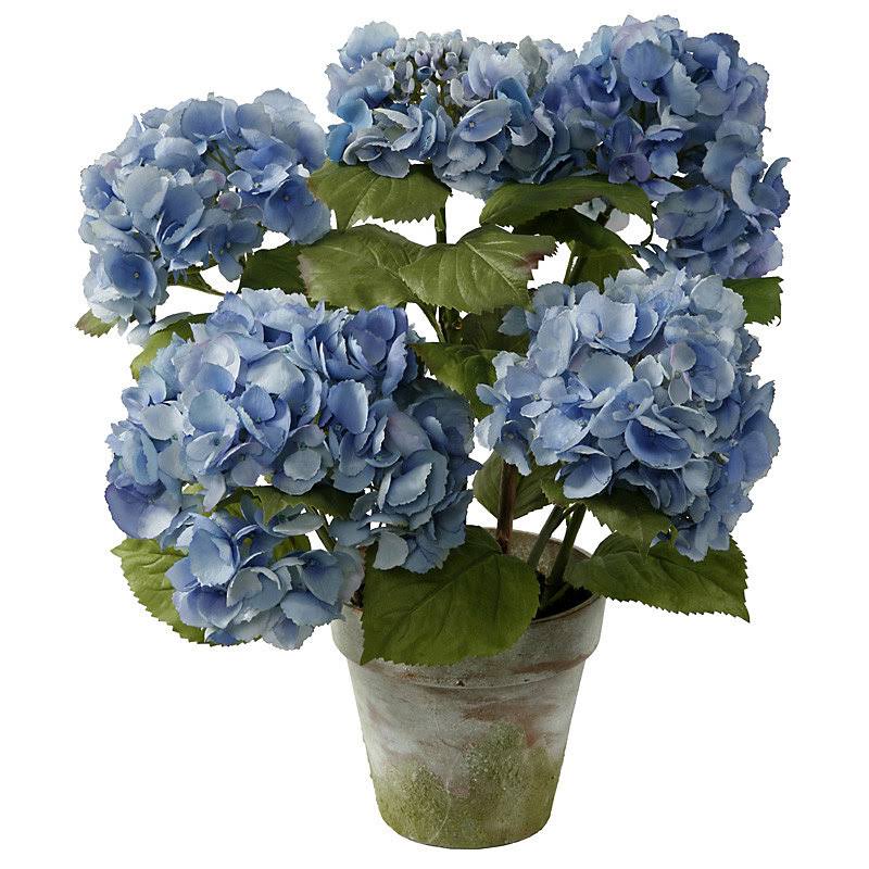 4-Stem Hydrangea Floral Arrangement in Terracotta Pot G5230