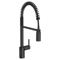 Matte Black One-Handle Pulldown Kitchen Faucet R94309