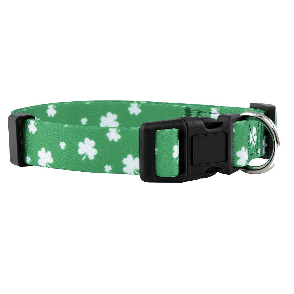 St Patricks Day Dog Collars V5031