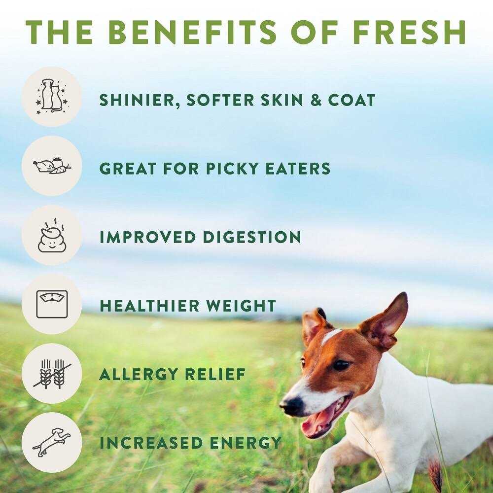 Grain Free Chicken Recipe Slice & Serve Roll Dog Food M33707