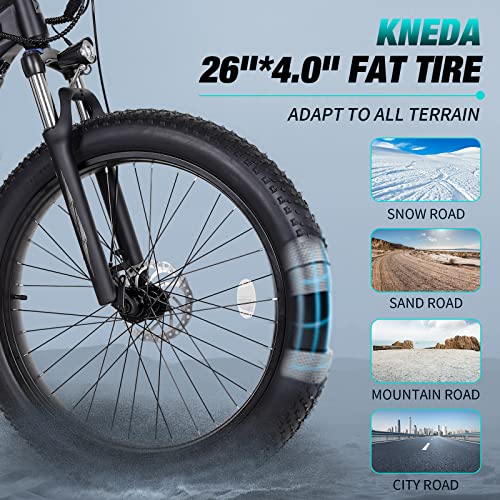 750W 48V 14AH Removable Battery 26" Fat Tire Electric Bike Q141