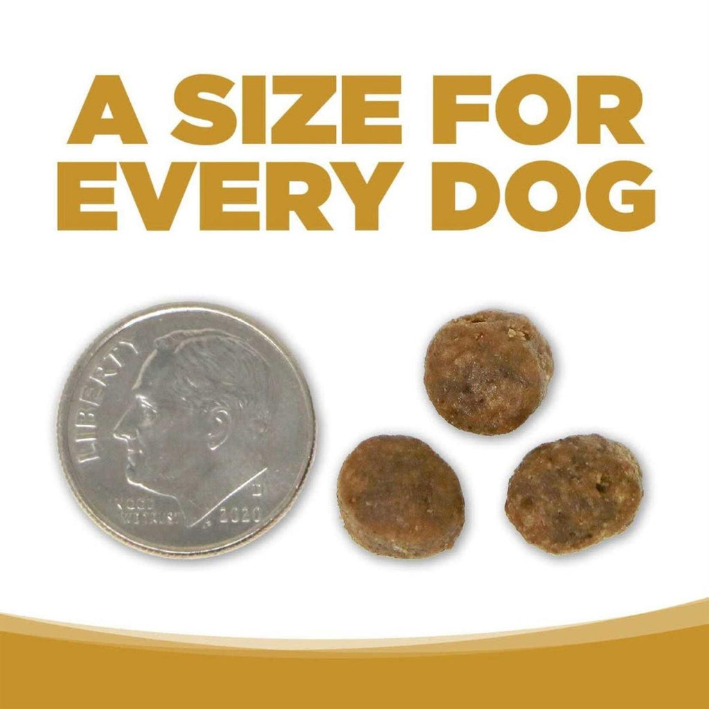 Grain Free Dog Food I322668