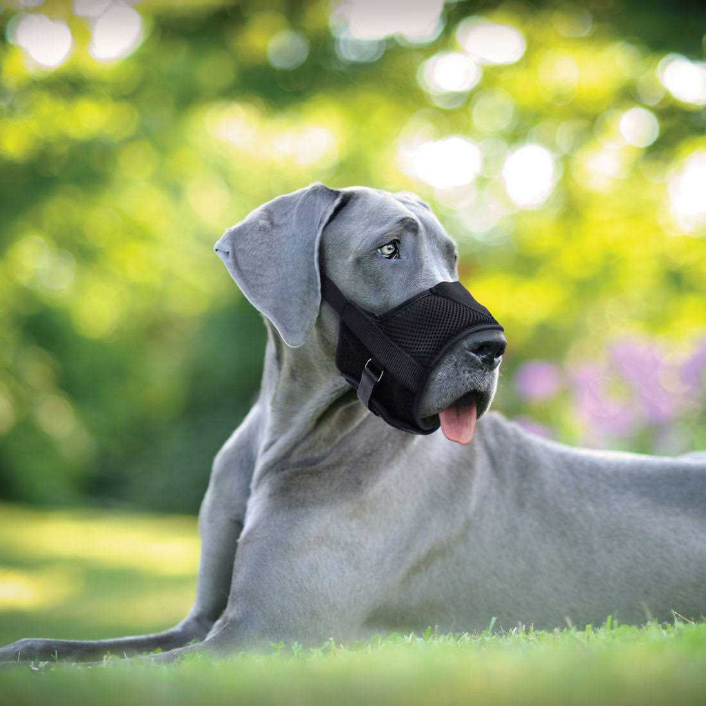Adjustable Dog Muzzle K40216