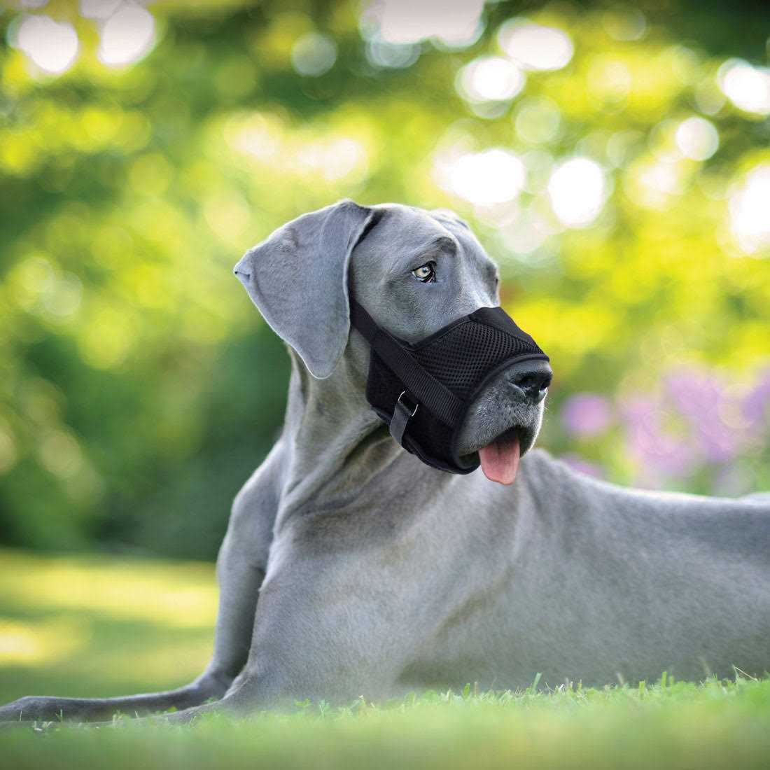 Adjustable Dog Muzzle K40216