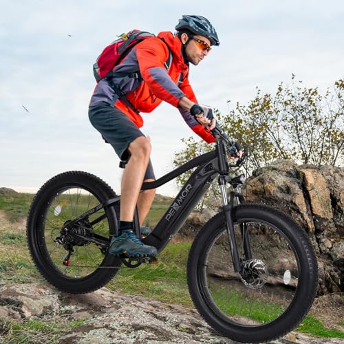 750W 48V 14AH Removable Battery 26" Fat Tire Electric Bike Q141