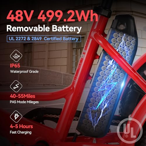 20" x2.6 Fat Tire Electric Tricycle R246