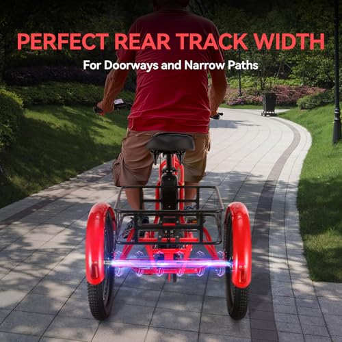 20" x2.6 Fat Tire Electric Tricycle R246